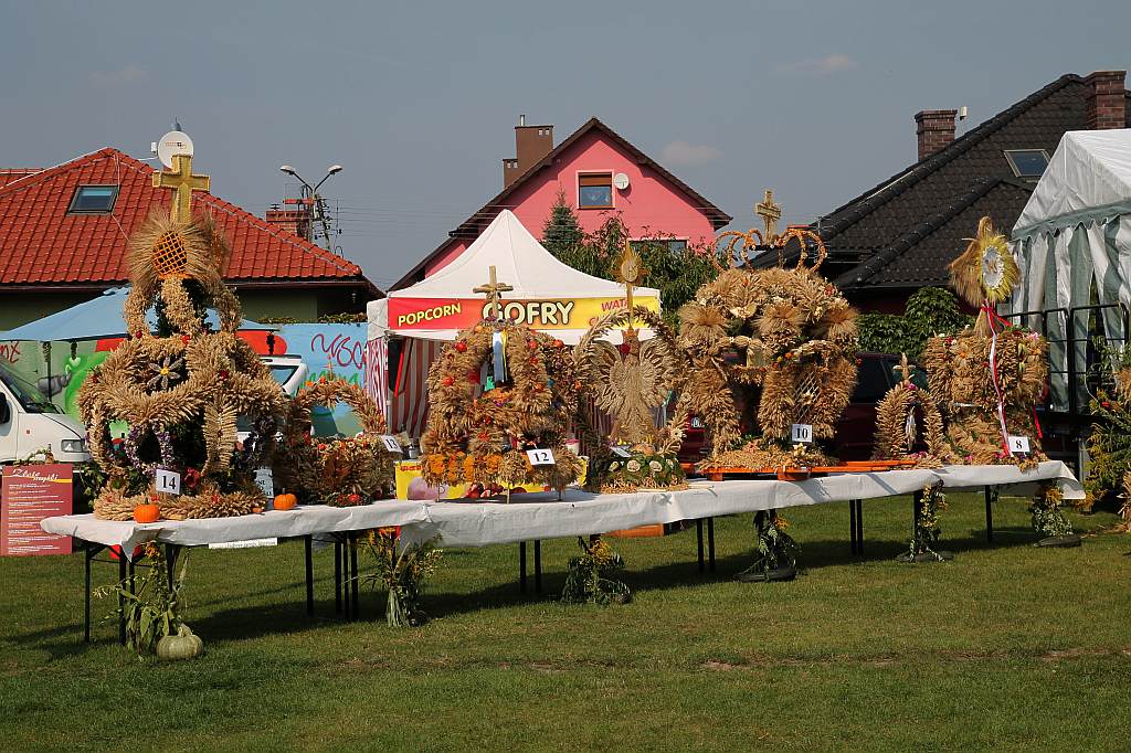Gminne dożynki w Prochowicach