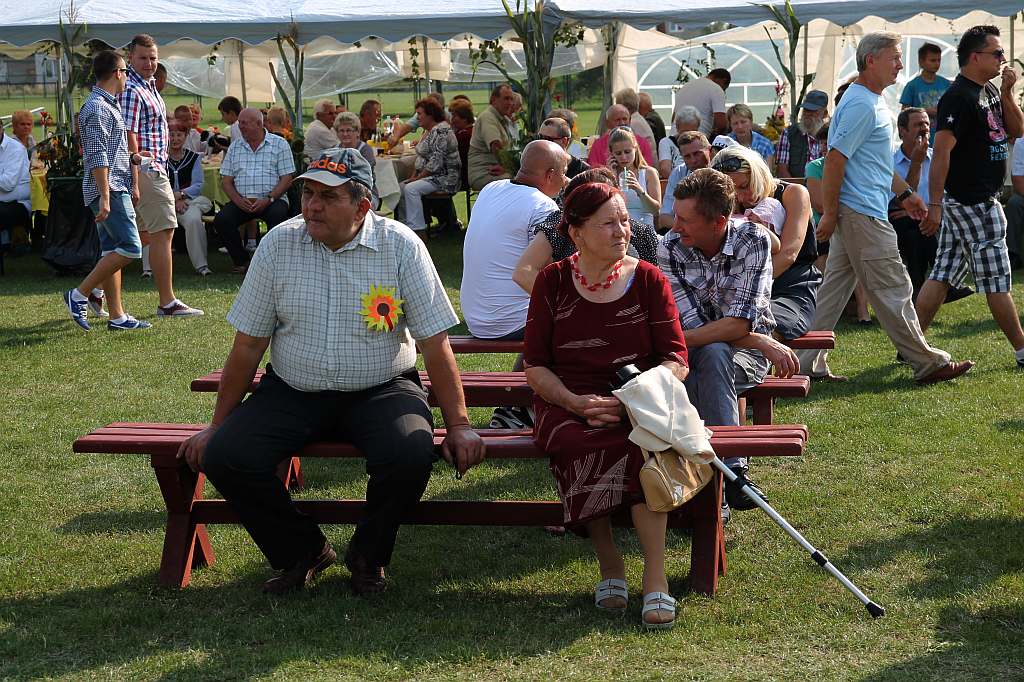 Gminne dożynki w Prochowicach