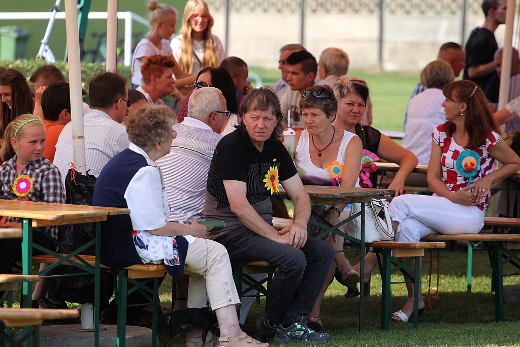 Gminne dożynki w Prochowicach