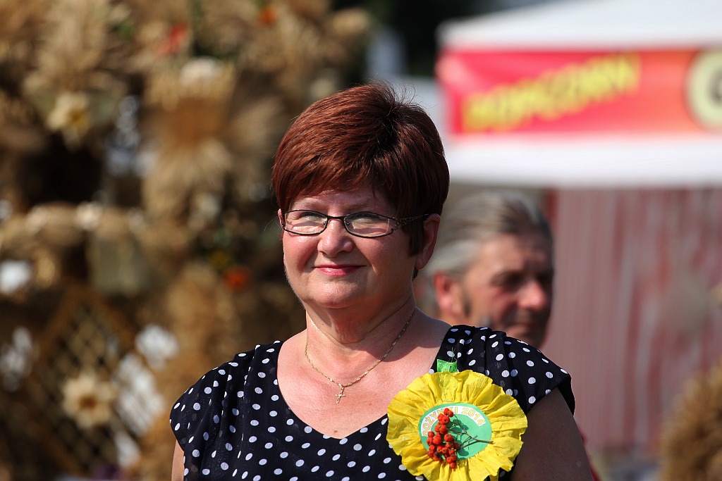 Gminne dożynki w Prochowicach
