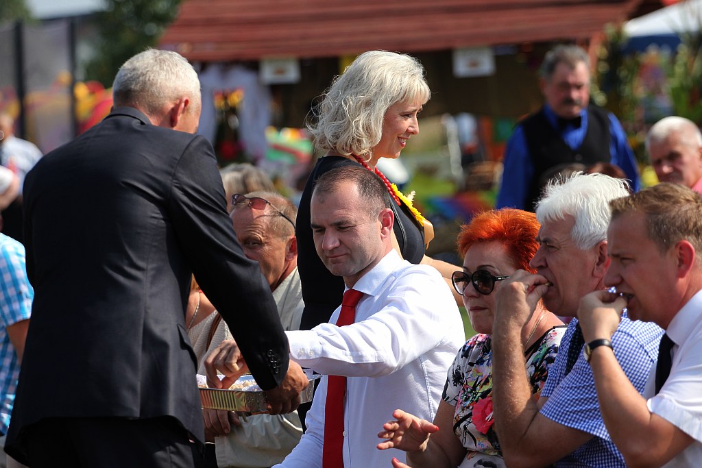 Gminne dożynki w Prochowicach