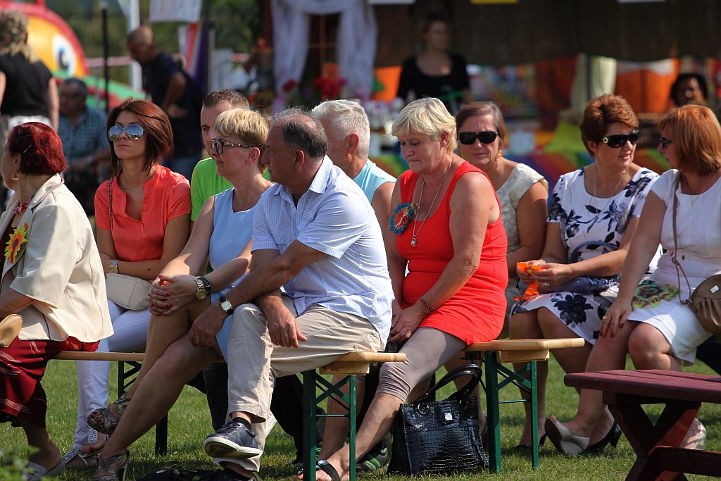 Gminne dożynki w Prochowicach