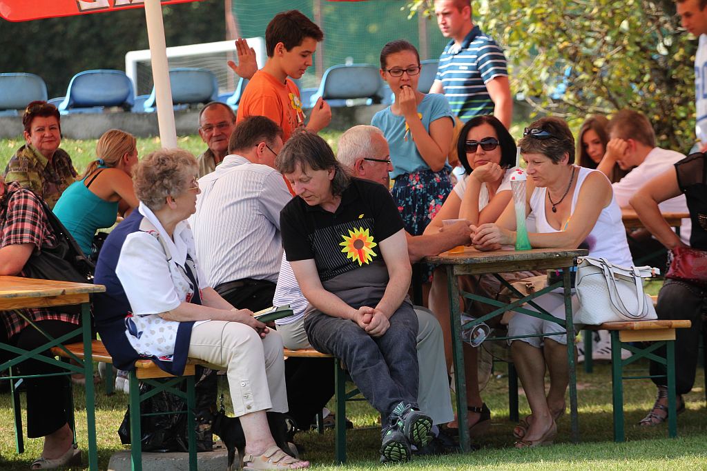 Gminne dożynki w Prochowicach