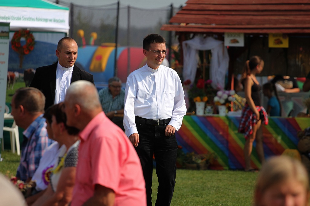 Gminne dożynki w Prochowicach
