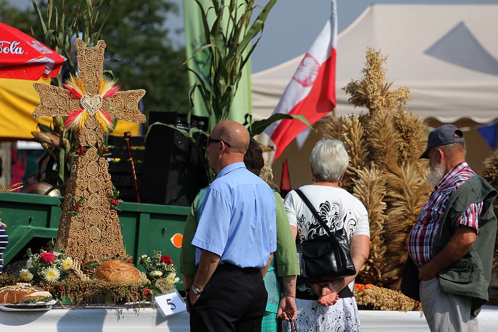 Gminne dożynki w Prochowicach