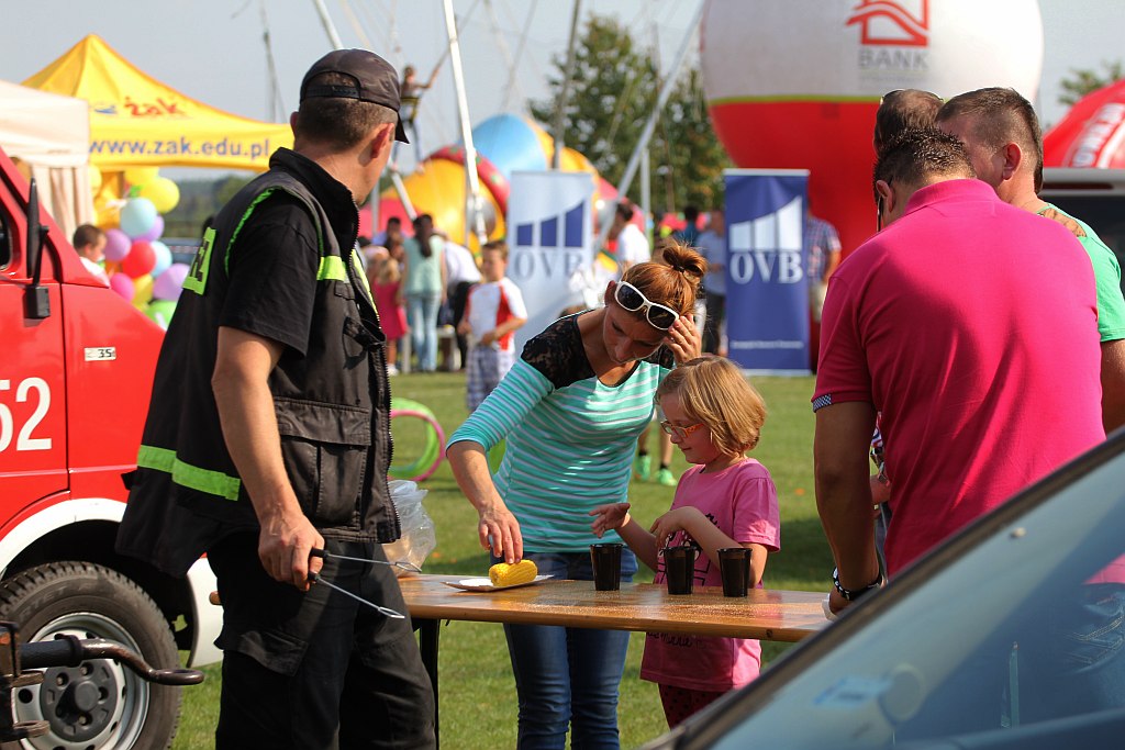 Gminne dożynki w Prochowicach