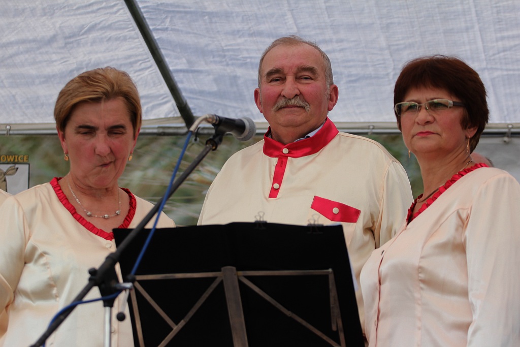 Gminne dożynki w Prochowicach