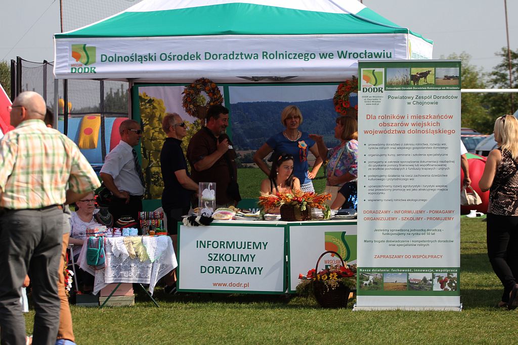 Gminne dożynki w Prochowicach