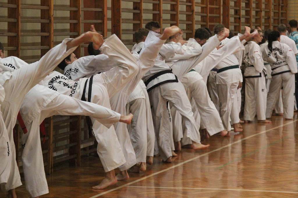 Taekwondocy LKT Legnica szlifują formę