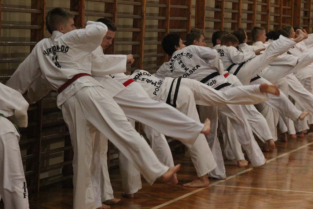 Taekwondocy LKT Legnica szlifują formę