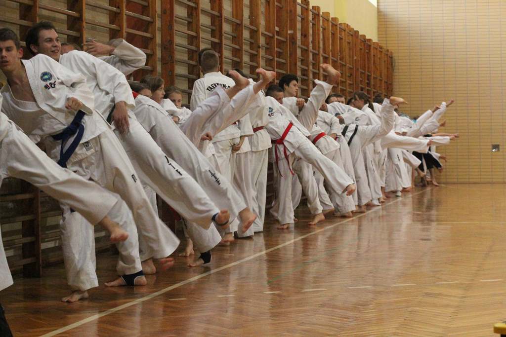 Taekwondocy LKT Legnica szlifują formę
