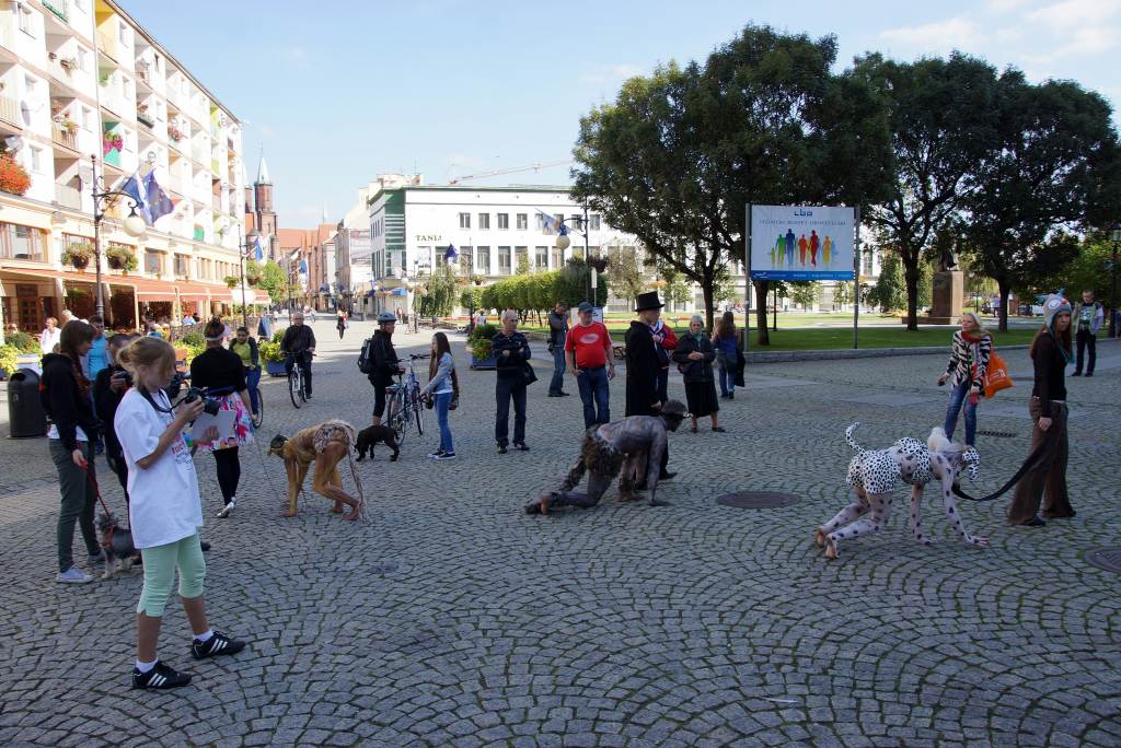 Akcja 
