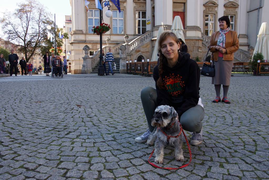 Akcja 