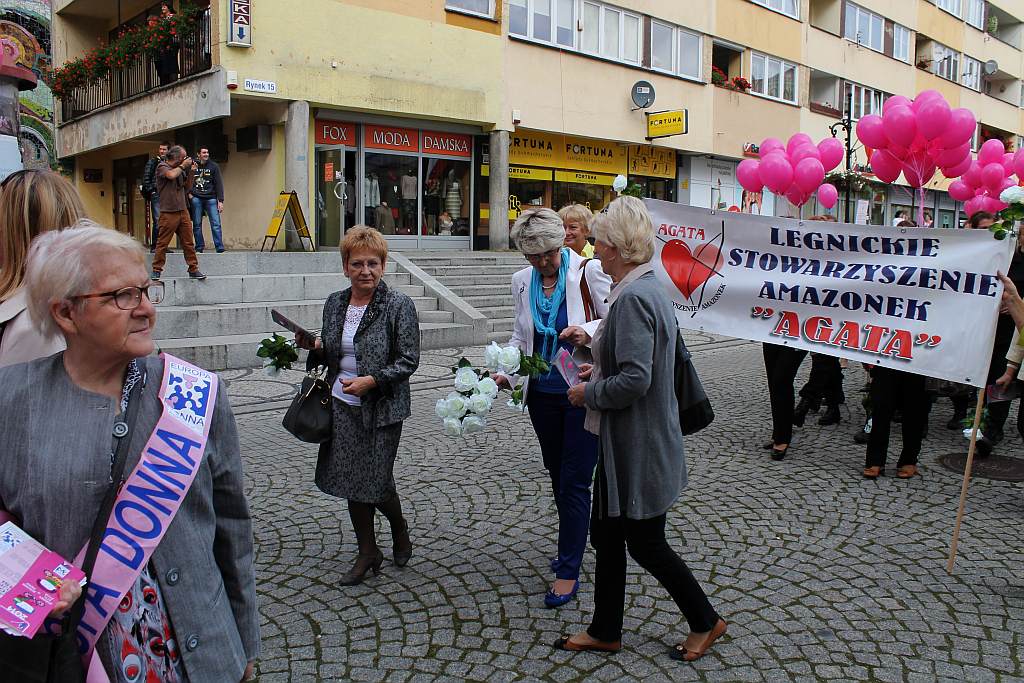 Siedemnasty marsz ku zdrowiu
