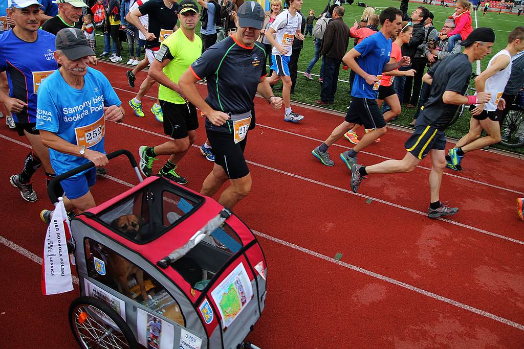 Półmaraton XXVII Bieg Lwa Legnickiego cz1