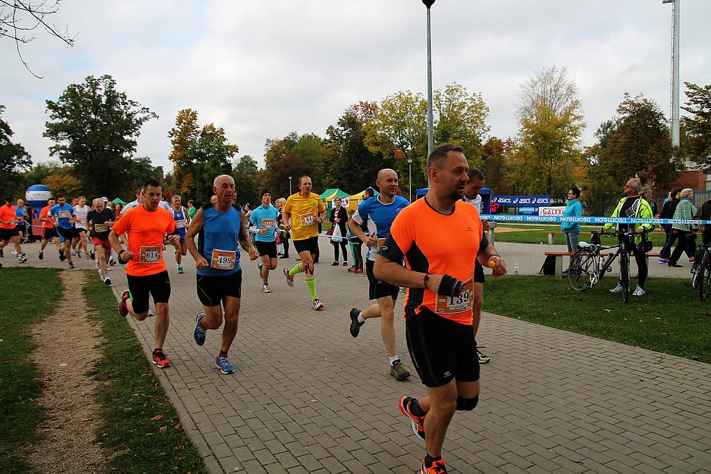 Półmaraton XXVII Bieg Lwa Legnickiego cz1