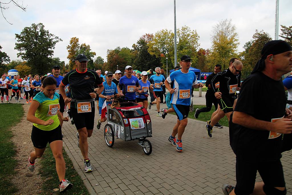 Półmaraton XXVII Bieg Lwa Legnickiego cz1