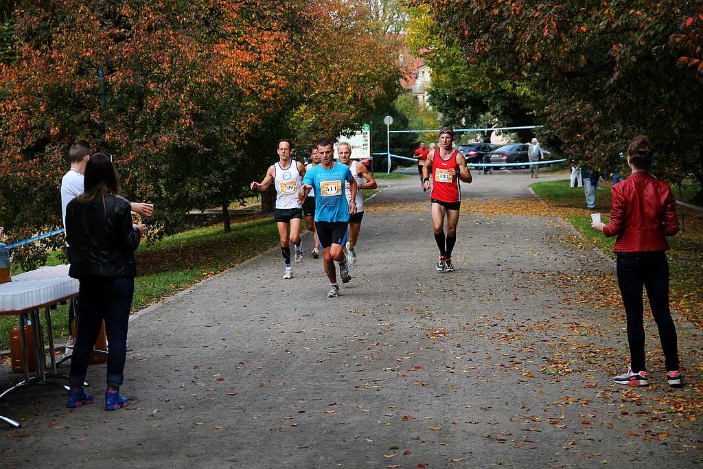 Półmaraton XXVII Bieg Lwa Legnickiego cz1