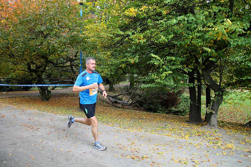 Półmaraton XXVII Bieg Lwa Legnickiego cz1