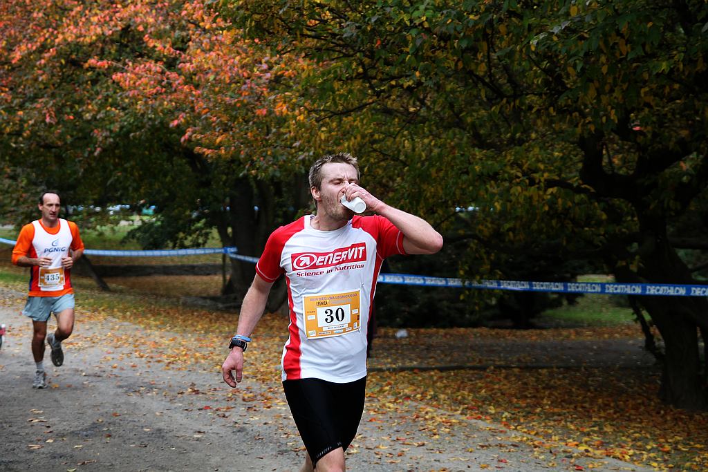 Półmaraton XXVII Bieg Lwa Legnickiego cz1