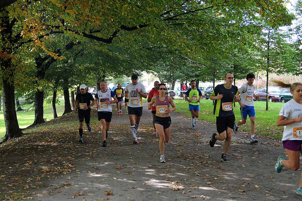 Półmaraton XXVII Bieg Lwa Legnickiego cz1