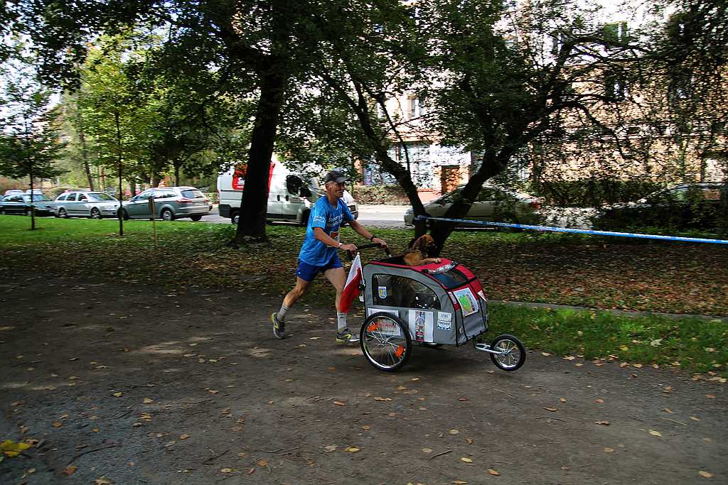 Półmaraton XXVII Bieg Lwa Legnickiego cz1