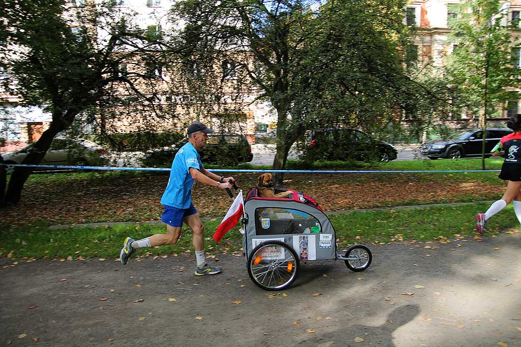 Półmaraton XXVII Bieg Lwa Legnickiego cz1