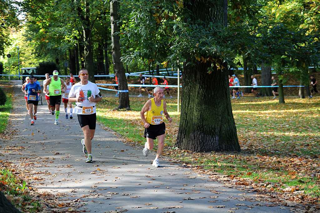 Półmaraton XXVII Bieg Lwa Legnickiego cz1