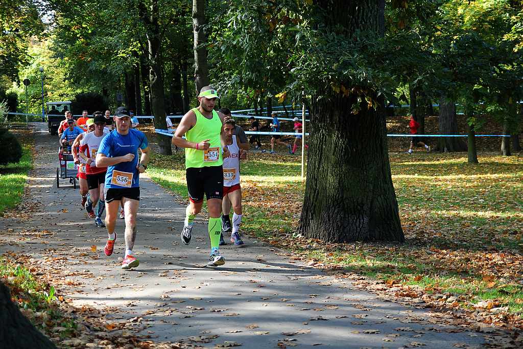 Półmaraton XXVII Bieg Lwa Legnickiego cz1