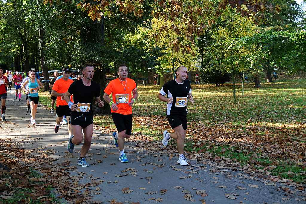 Półmaraton XXVII Bieg Lwa Legnickiego cz1