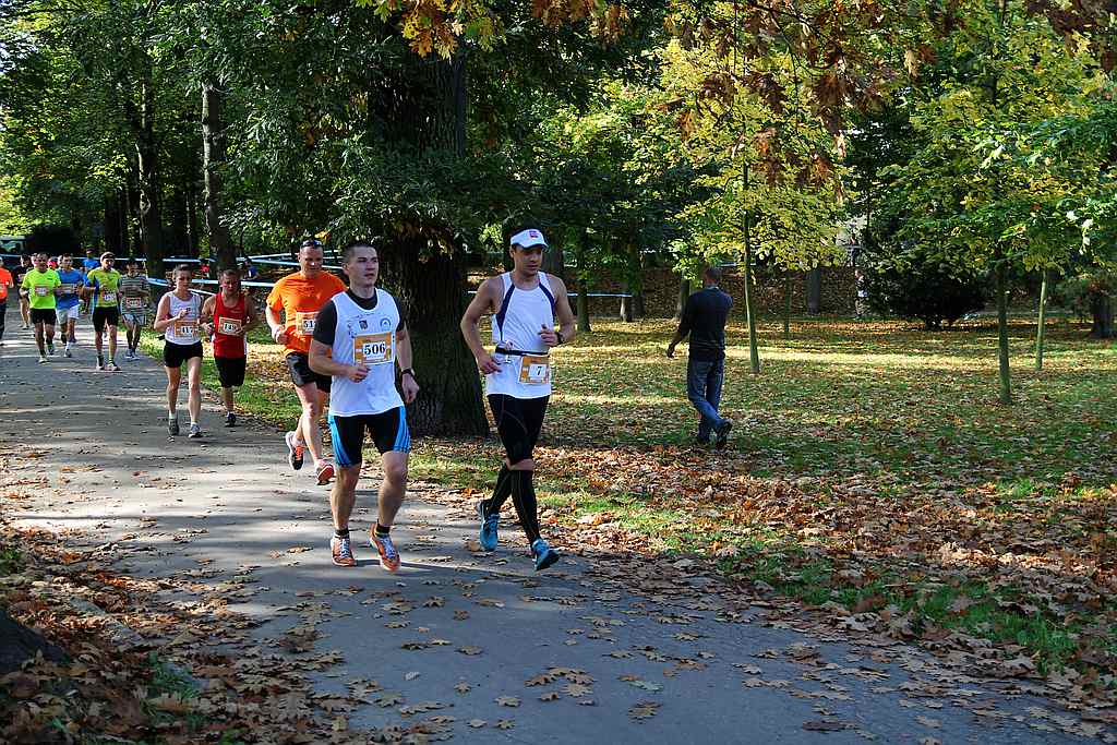 Półmaraton XXVII Bieg Lwa Legnickiego cz1