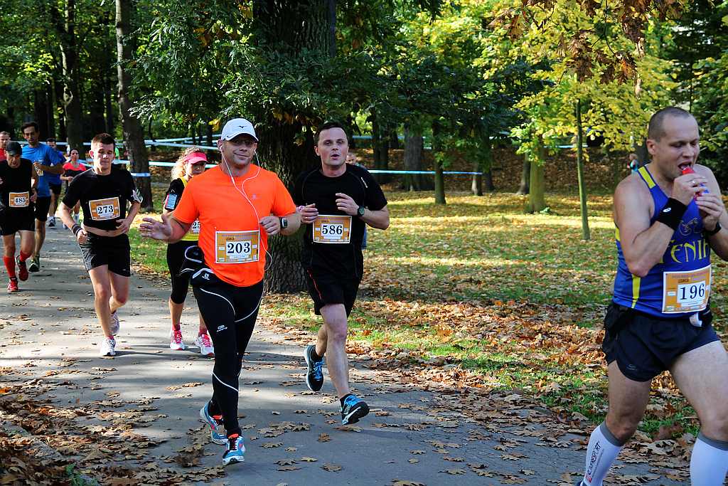 Półmaraton XXVII Bieg Lwa Legnickiego cz1