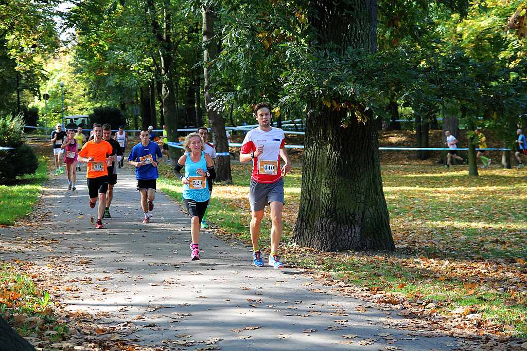 Półmaraton XXVII Bieg Lwa Legnickiego cz1