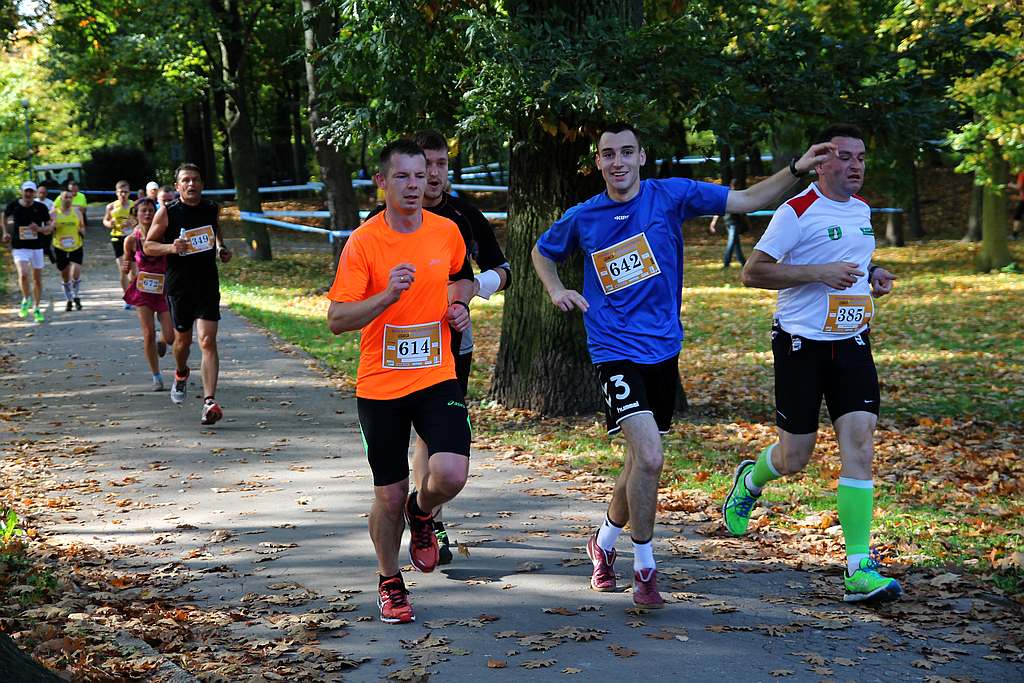 Półmaraton XXVII Bieg Lwa Legnickiego cz1