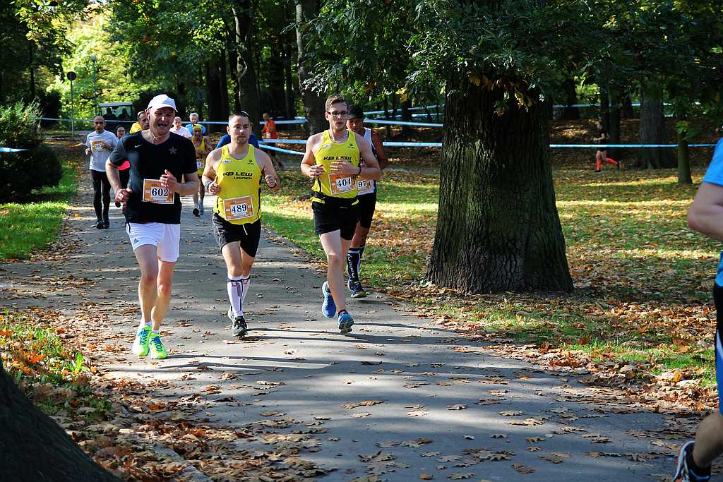 Półmaraton XXVII Bieg Lwa Legnickiego cz1