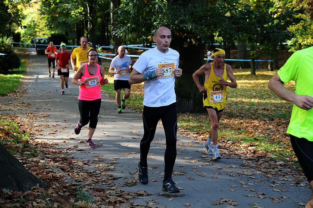 Półmaraton XXVII Bieg Lwa Legnickiego cz1