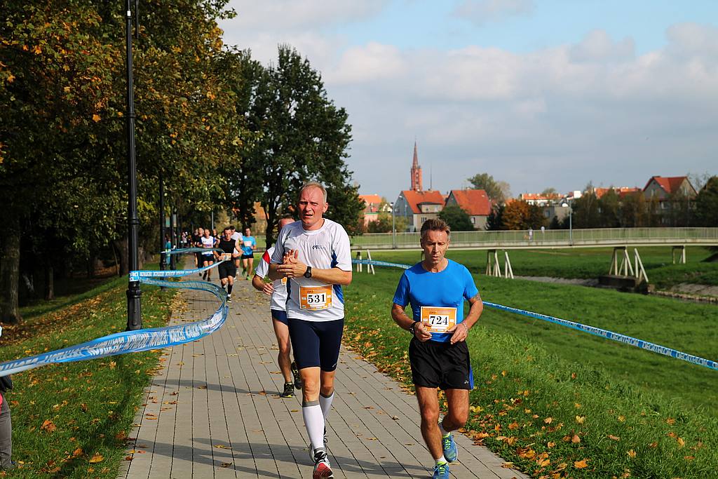 Półmaraton XXVII Bieg Lwa Legnickiego cz1