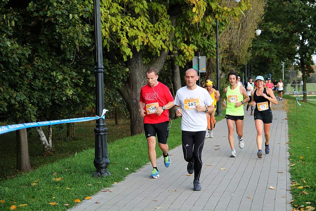 Półmaraton XXVII Bieg Lwa Legnickiego cz1