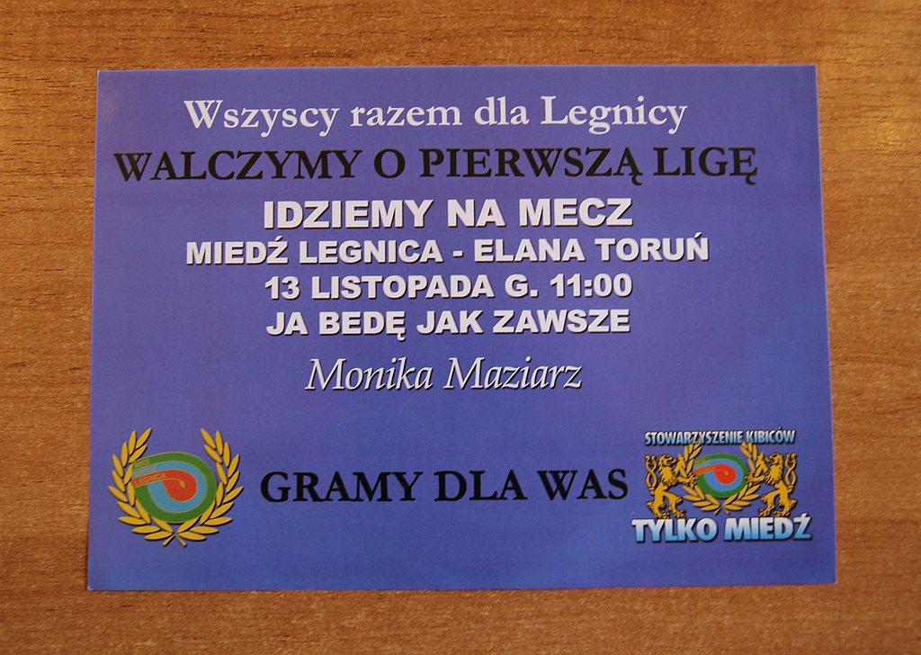 Kampania wyborcza 2010 r. na ulotkach