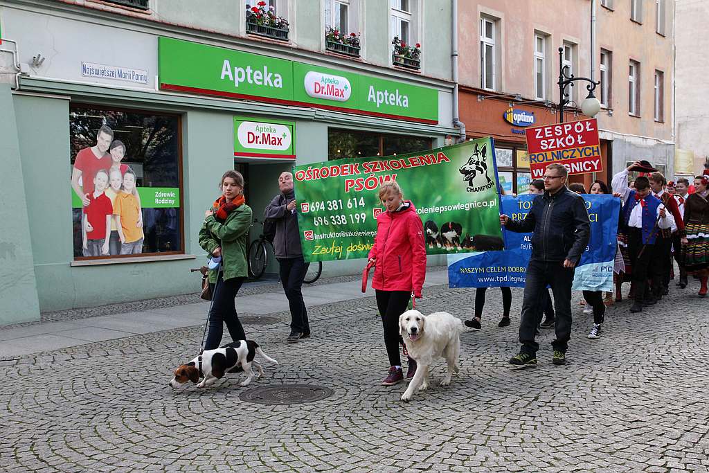 Festiwal Legnickich Organizacji Pozarządowych