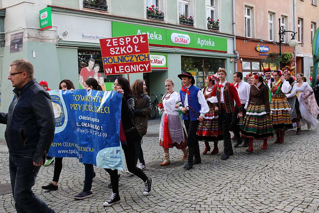 Festiwal Legnickich Organizacji Pozarządowych