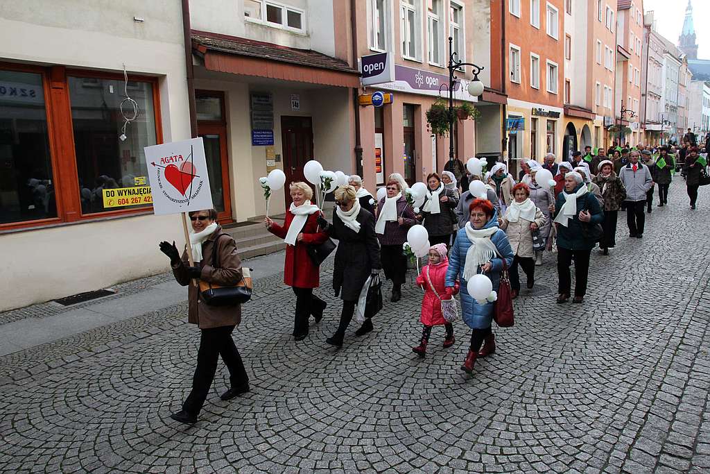 Festiwal Legnickich Organizacji Pozarządowych