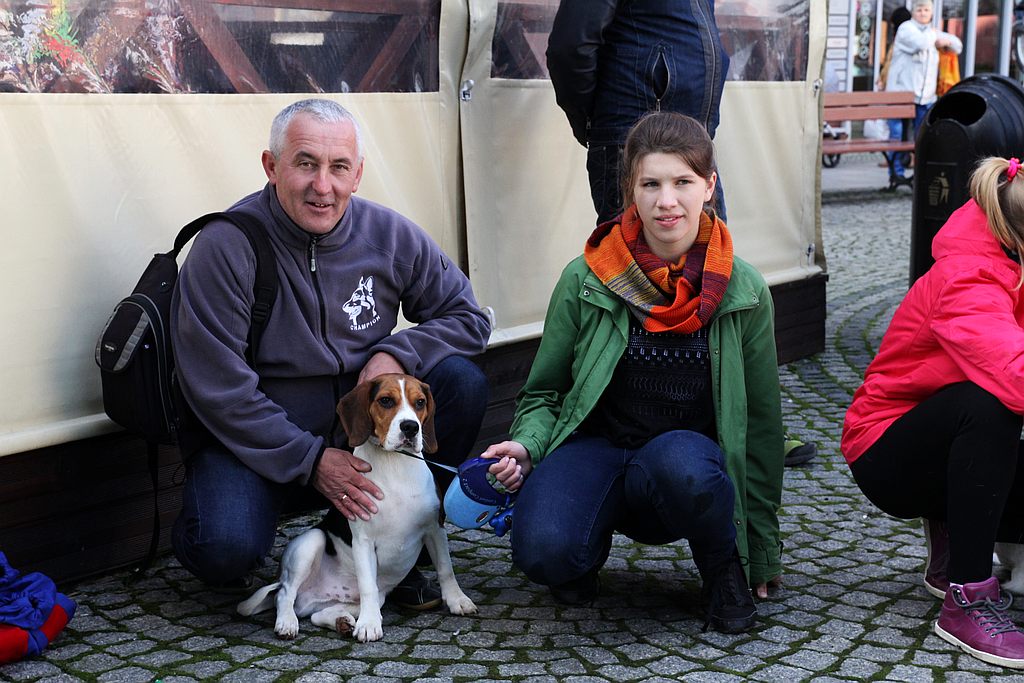 Festiwal Legnickich Organizacji Pozarządowych