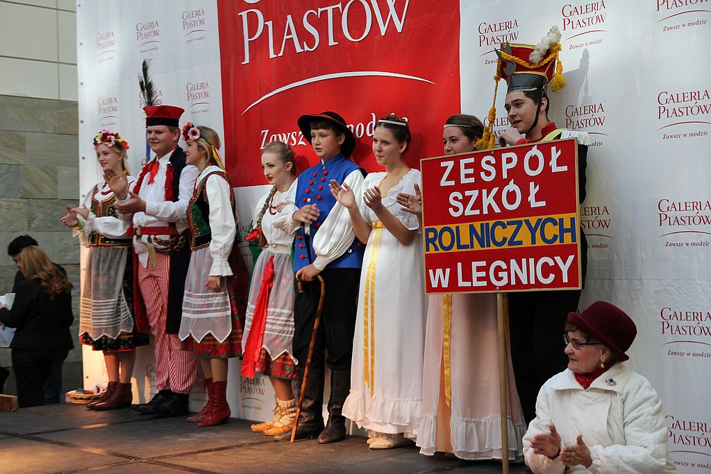 Festiwal Legnickich Organizacji Pozarządowych