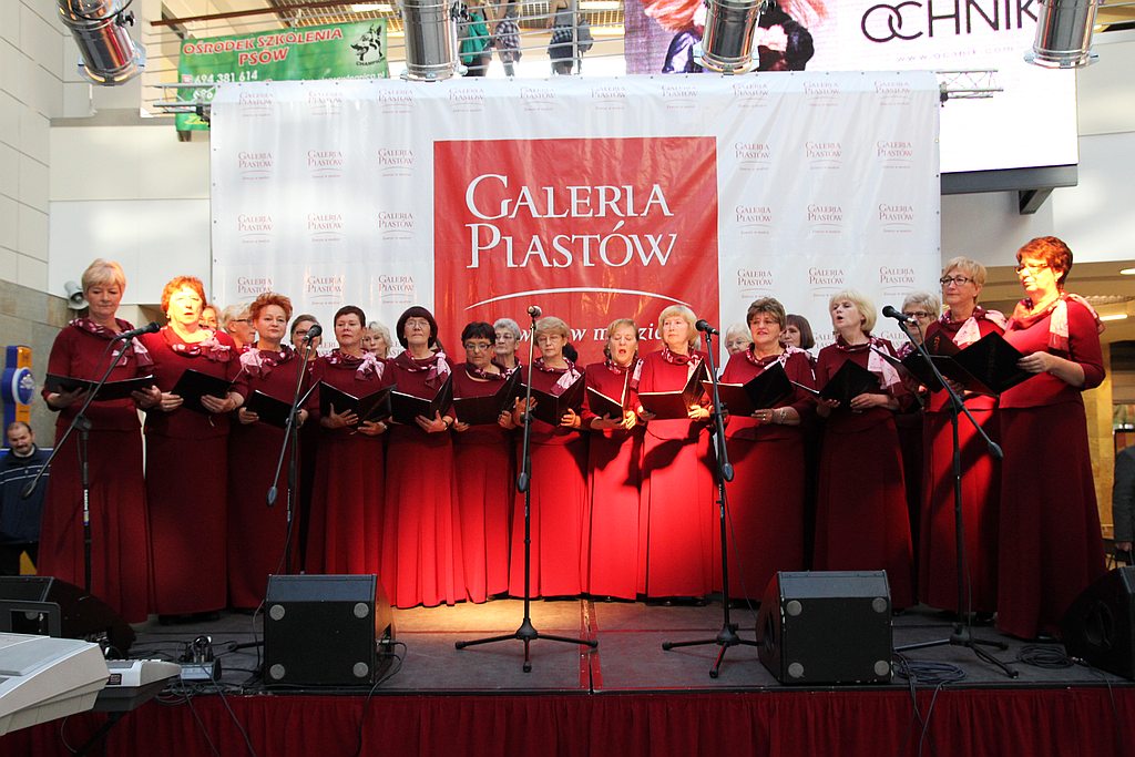 Festiwal Legnickich Organizacji Pozarządowych