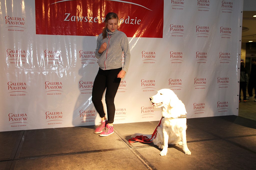 Festiwal Legnickich Organizacji Pozarządowych