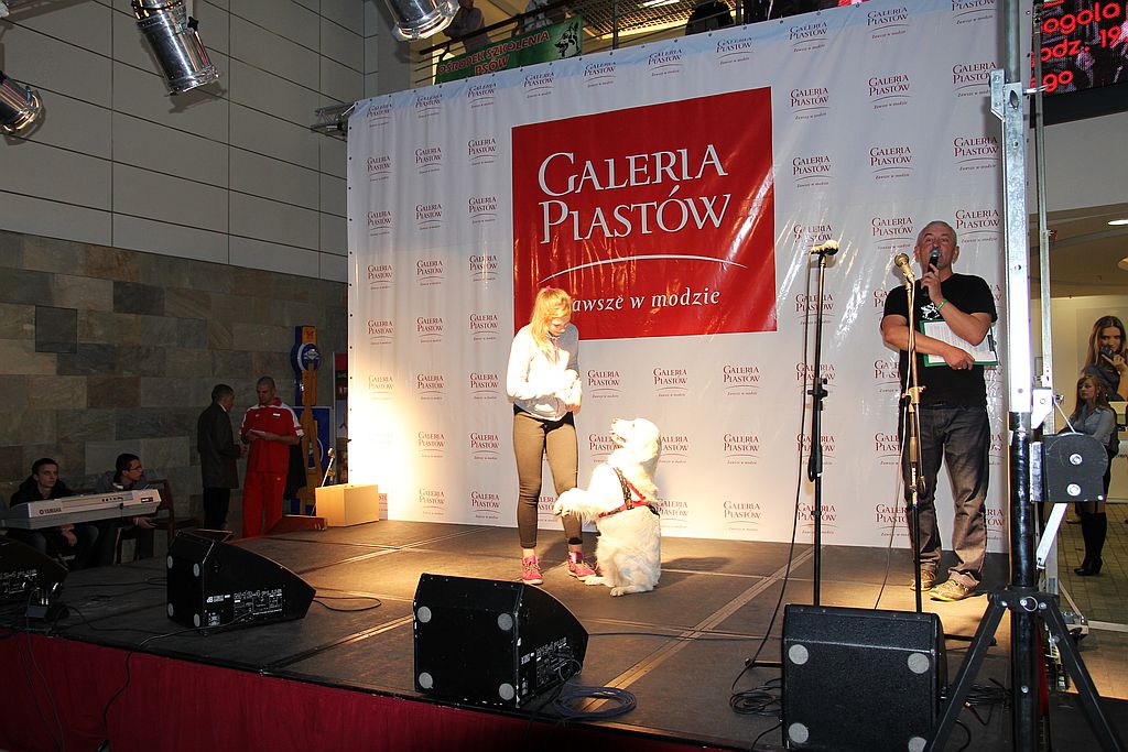 Festiwal Legnickich Organizacji Pozarządowych