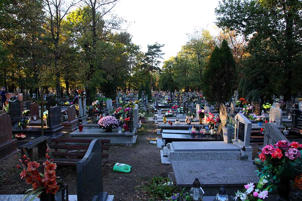 Cmentarz Komunalny na kilka dni przed świętem