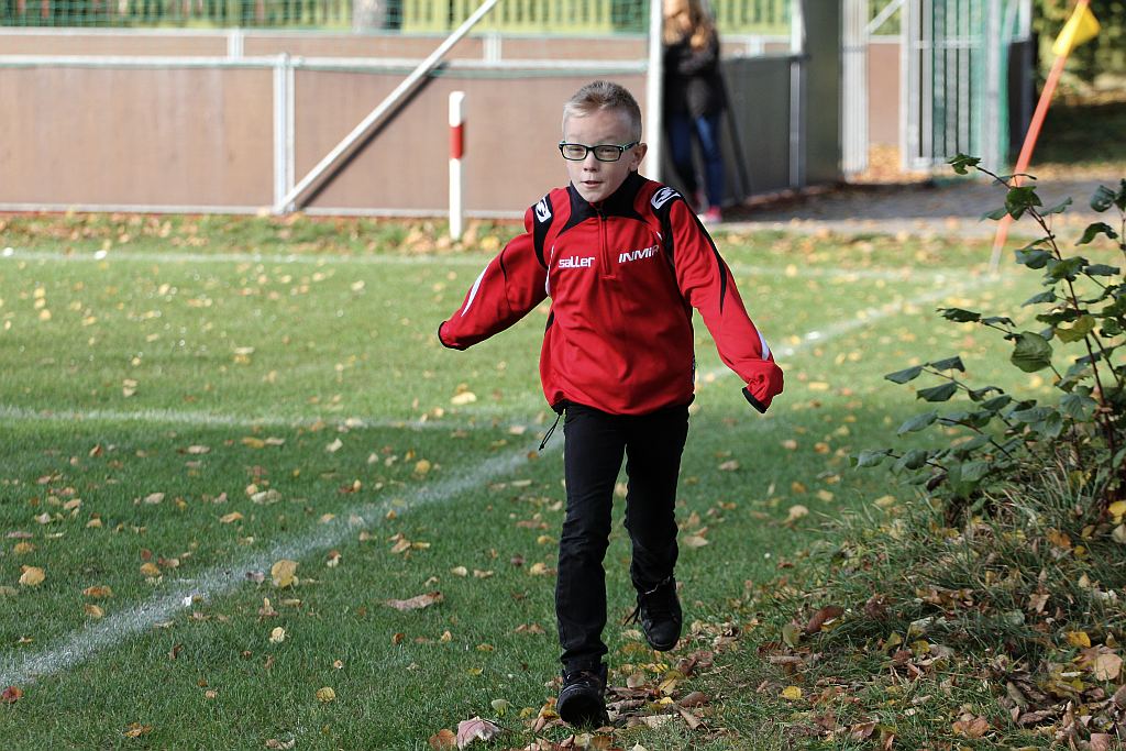 Okręgówka: KS Legnickie Pole - Arkon 2:5
