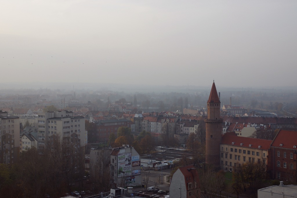 Obchody Święta Niepodległości w Legnicy